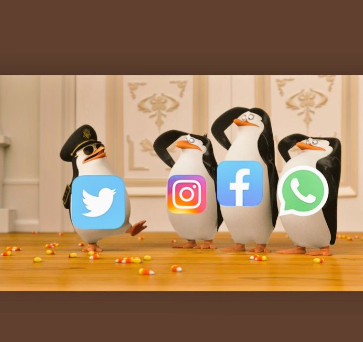 Crypto_By_Uzair's tweet photo. I am a Twitter user.....♥️😜✌️😁
#Server_down
#Facebookdown
#WhatsApp
#Meanwhile_Twitter
Twitter users be like...❤️♥️😜👇 https://t.co/bxWMfcXtjE
