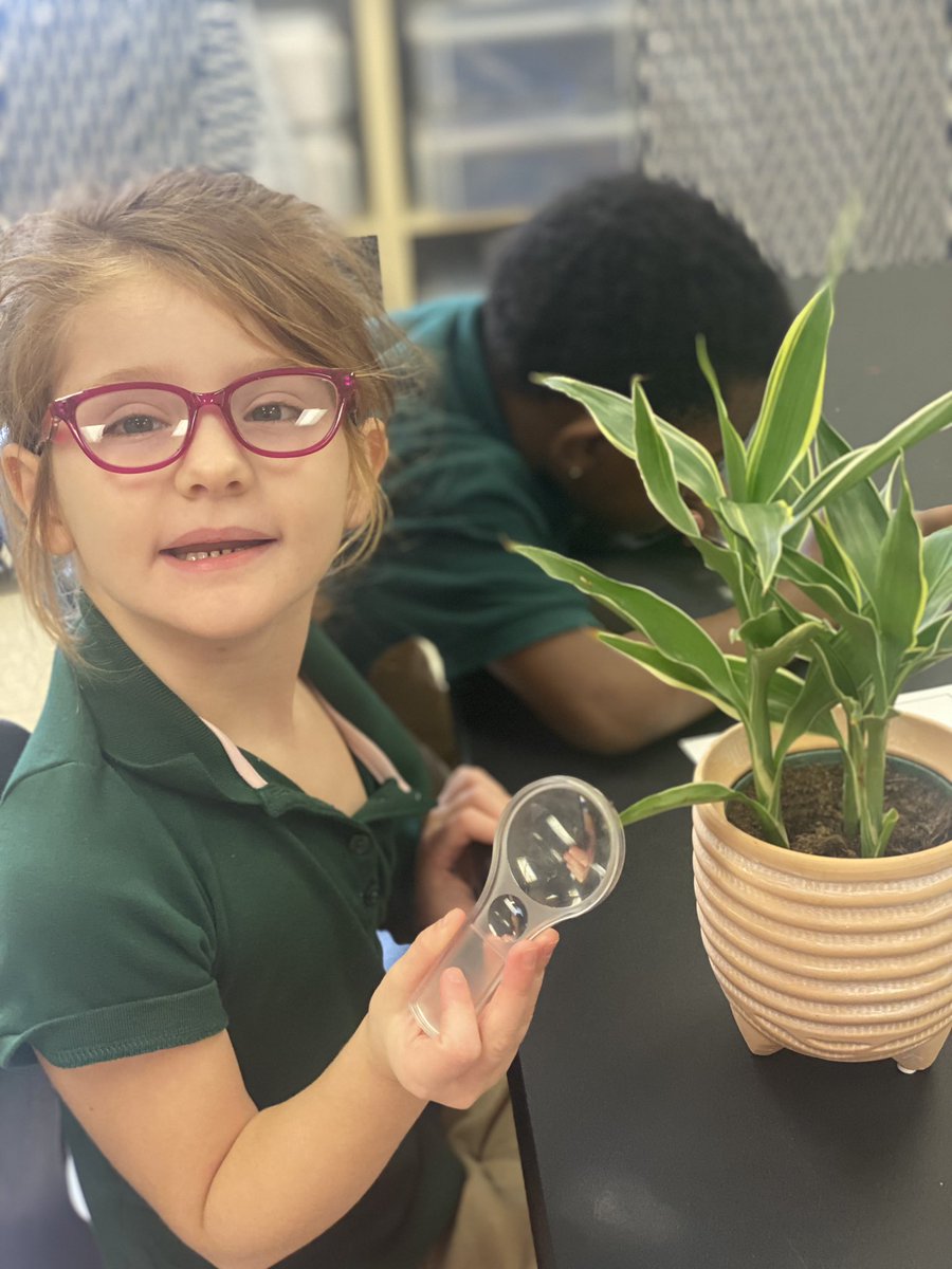 MrsGwinsFriends's tweet photo. First science lab with @Russellerd! We are learning about living and non living things 📚🐛🦗@DicksonTigers @PrincipalERD https://t.co/JyAB1KRE5u