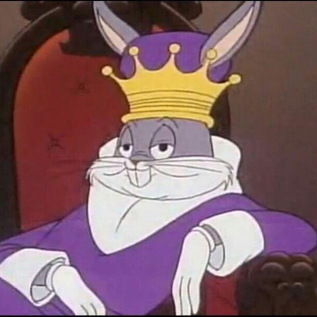 Hapticus tweet media