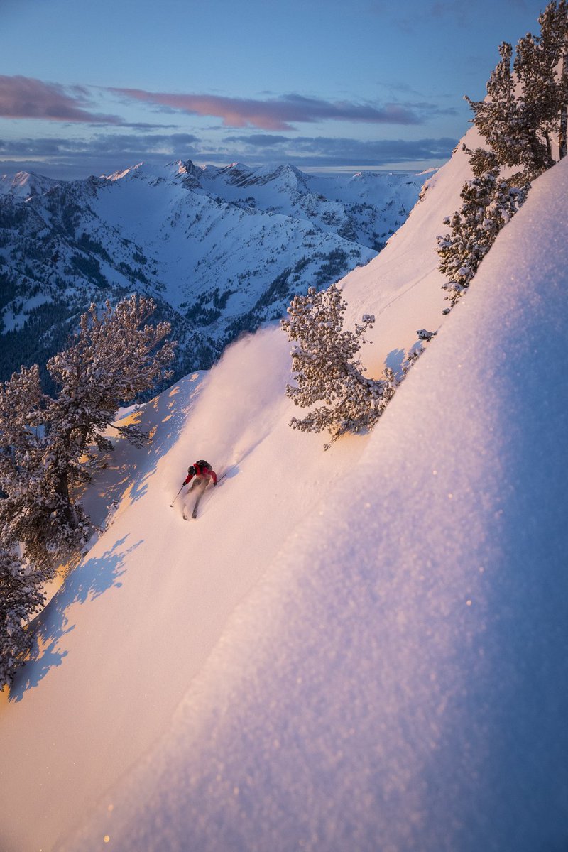 Patagonia tweet media
