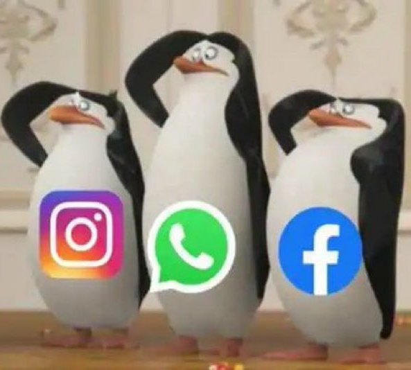 _Muhammedsadikh's tweet photo. WhatsApp , Facebook and instagram’s servers are down own by (Mark Zuckerberg) So stop thinking that your internet is not working.   #WhatsApp #Facebook #facebookdown #Instagram #instagramdown #WhatsAppDown https://t.co/rcge977EZp