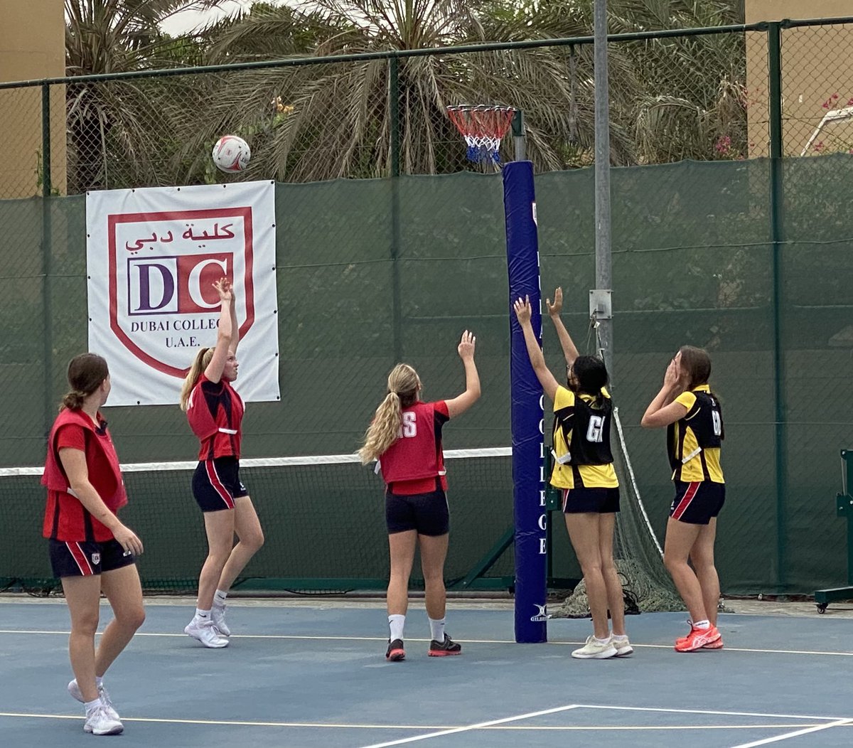 Barbarossa House tweet media