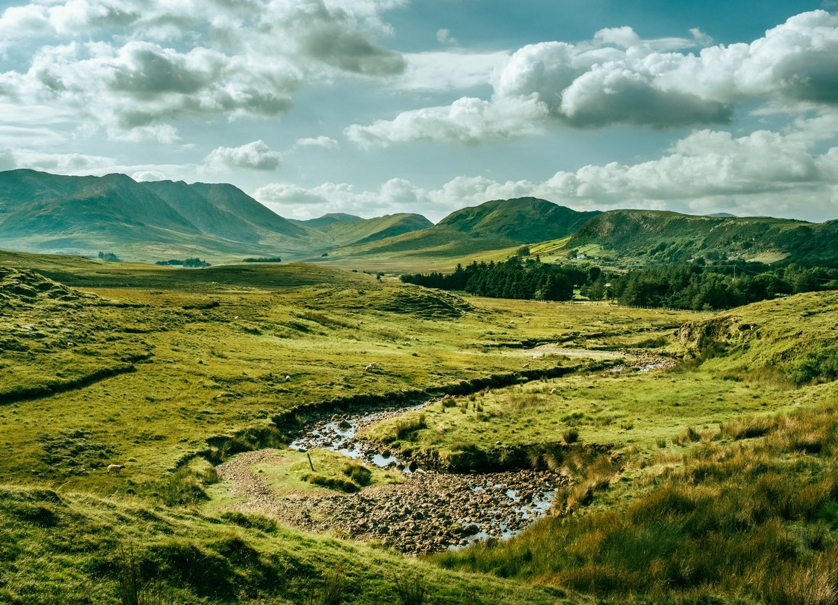 puddiphoto's tweet photo. @TheDanCosta Connemara, Galway, Ireland. One of the most beautiful places I have visited! https://t.co/8QoWkQaKQk