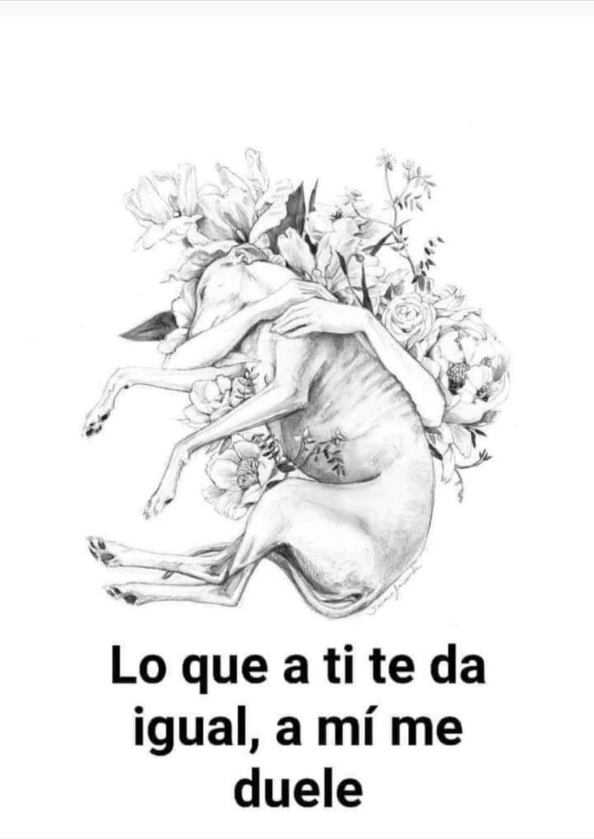 Lola_MV1's tweet photo. #DiaMundialDeLosAnimales https://t.co/V6J3Q3RQSI