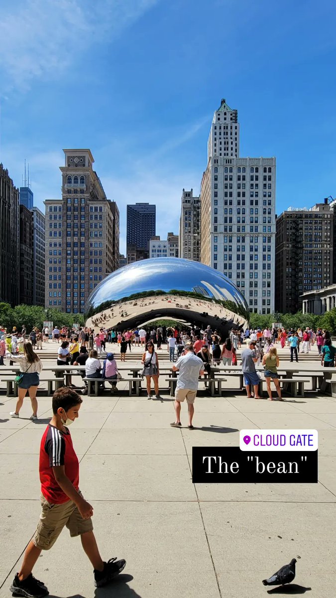 TreClubDesigns's tweet image. Anyone else sad that #summertimechi is over??? 🥺😢😭

@ChooseChicago @chicago