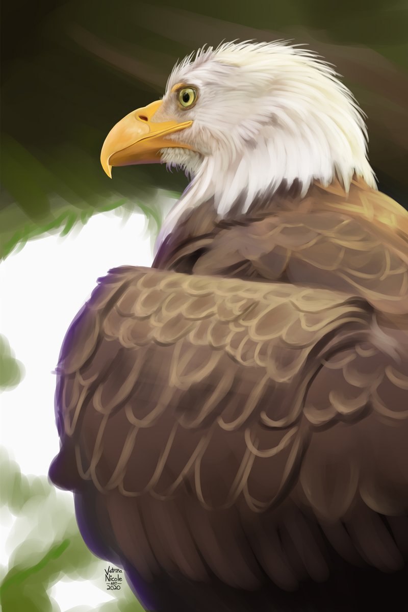 VetrinaNicole's tweet photo. Happy #WorldAnimalDay ! Animals are so amazing and I love painting their beauty 💕🌿 https://t.co/DbgxYbc0Oq