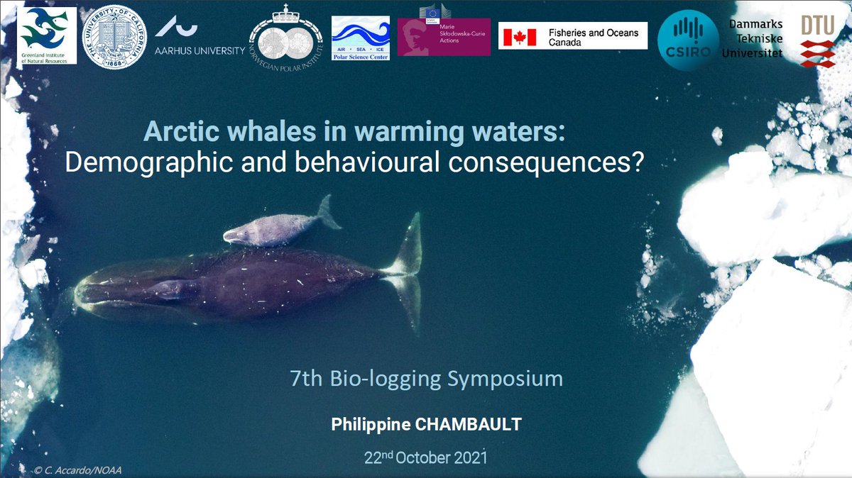 Philippine Chambault tweet media