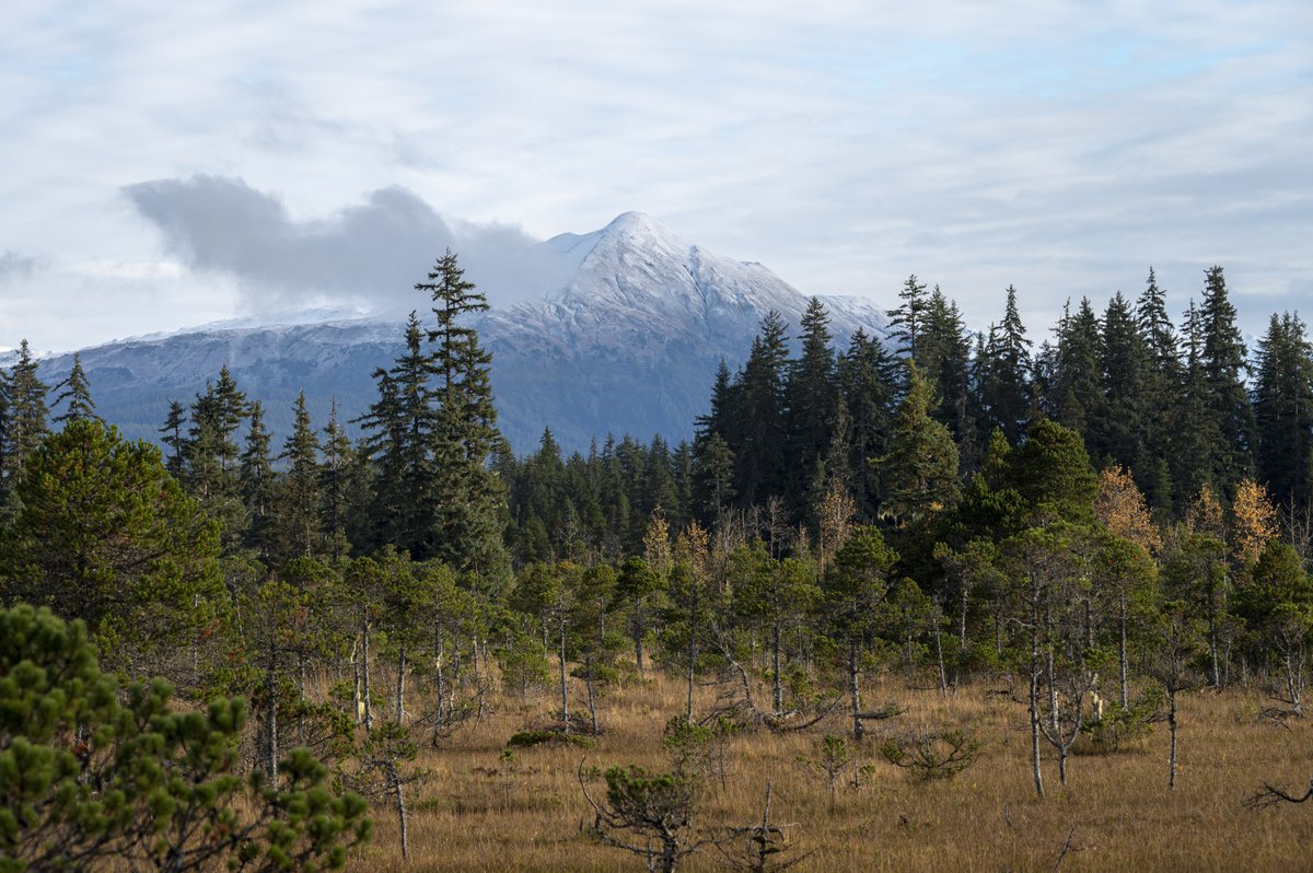 GlacierBayNPS's tweet photo. Skies have cleared after a windy-stormy weekend, leaving us with familiar views of beautifully dusted mountain peaks. #TerminationDust #GlacierBay https://t.co/UBl2GGOFTw