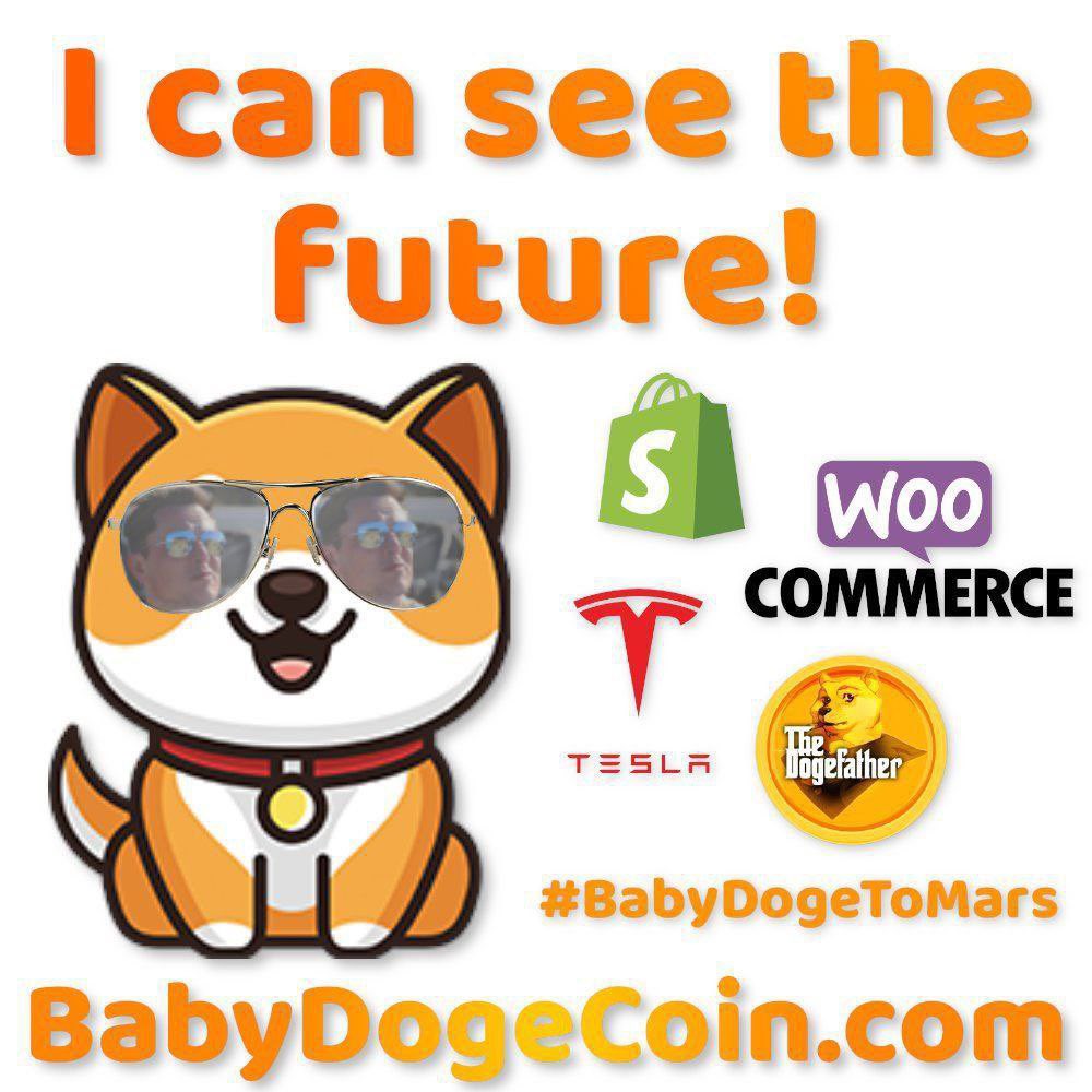 pizzadogdog's tweet photo. @WhatsApp Or u can use web3.0 and buy some @babydoge https://t.co/BTMPGwGRGu