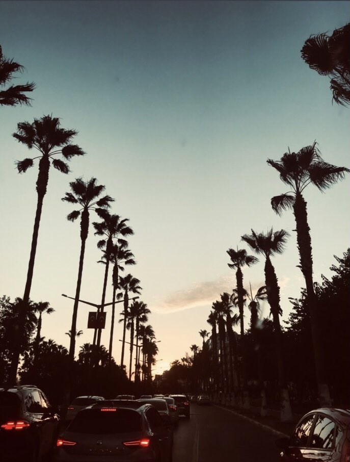 زحمة يا دنيا زحمة