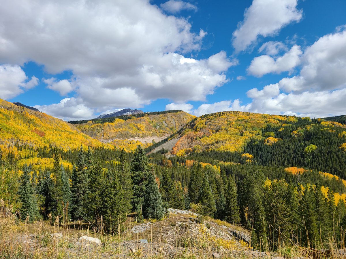 _Emillama's tweet photo. 10/2/21 - Durango to Silverton @VisitDurango @Colorado https://t.co/QTtVPhVGUZ
