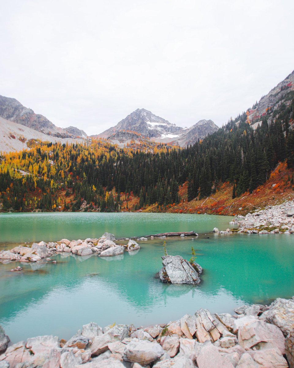thisisthehanman's tweet photo. Scenes from the weekend. It’s larch szn, bby🧡 https://t.co/BocNkNmgM4