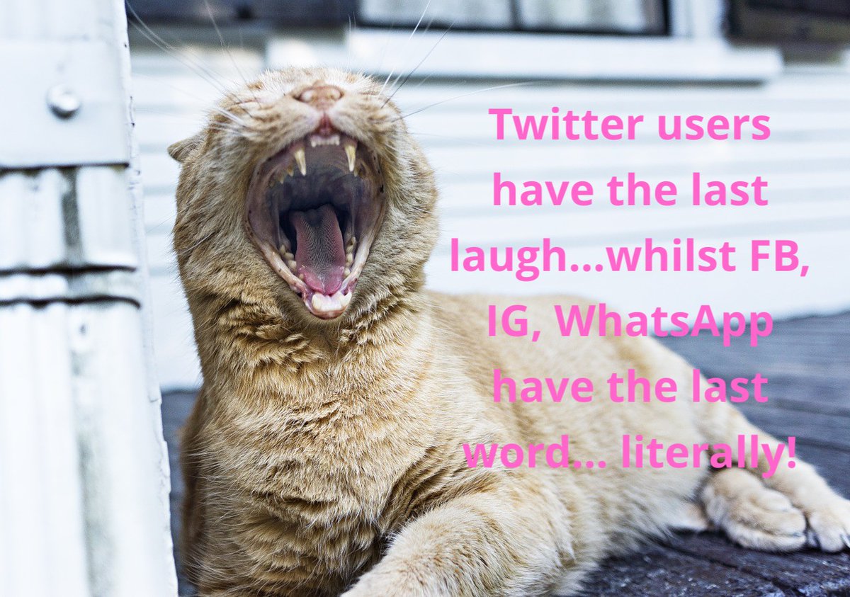 KISWebsites's tweet photo. Thank heavens for Twitter! 

#Facebookdown #whatsappdown #instagramdown #KISWebsites https://t.co/CtfaH3Xblc