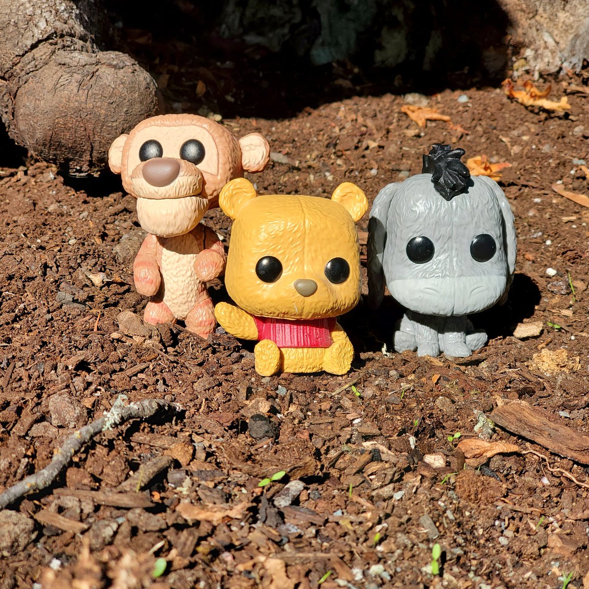 DailyFunko's tweet photo. https://t.co/oCwyIRKzrM