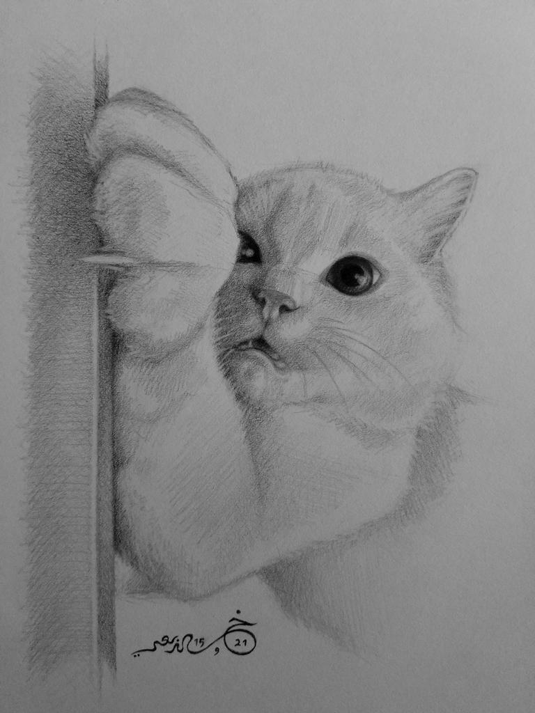 thekhalidniaz's tweet photo. #sketch #cat https://t.co/zn9WRIXhU0