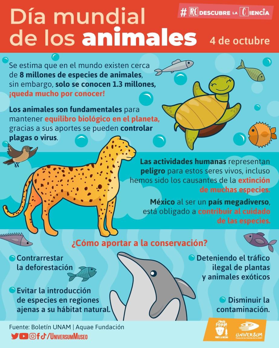 UniversumMuseo's tweet photo. UnDíaComoHoy se celebra el Día Mundial de los Animales, una oportunidad de concientizar sobre la conservación y el respeto hacia todas las especies. 

#RedescubreLaCiencia https://t.co/Q92tKdQhHW
