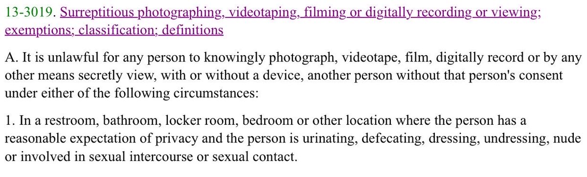 lacy_cooper's tweet photo. It was 100% wrong - and a clear violation of state statute - for agitators to film @SenatorSinema and other innocent women in a public restroom. Read the law. There must be consequences. https://t.co/7x4yt4yx7U