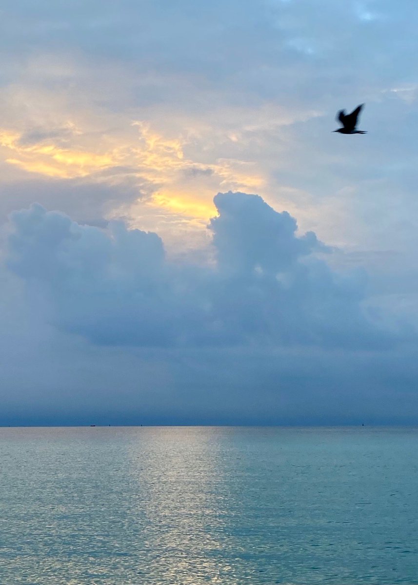 We are flying into #october and welcoming the fall weather 

#aroundthepelican 🐠#bettertogether 🌼#tourism✈️#lovetotravel  #artdeco #travelaroundtheworld #miami 🦩#miamitravel ☀️🏝#sunshine #fit #travelislife #fall #october #roamtheplanet 🛫