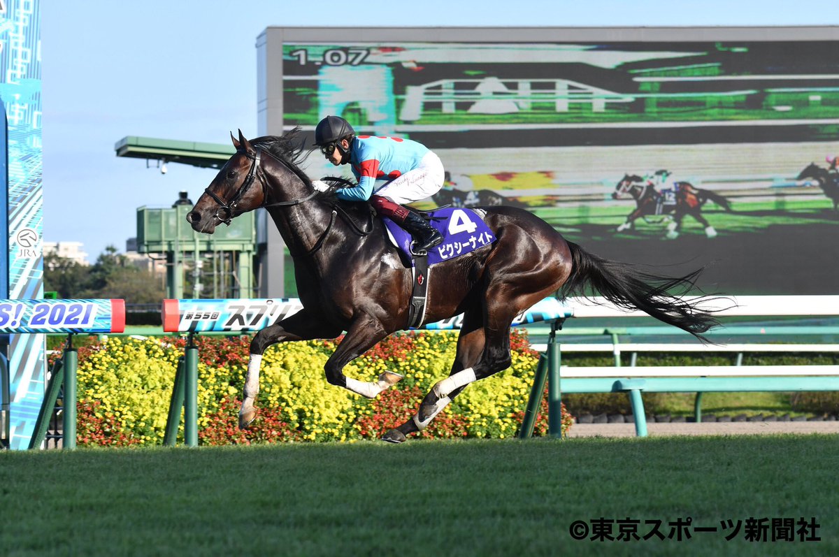 サイン入りゼッケン　競馬　ピクシーナイト母ピクシーホロウ　超レア サイン入りゼッケン 競馬 ピクシーナイト母ピクシーホロウ 超レア