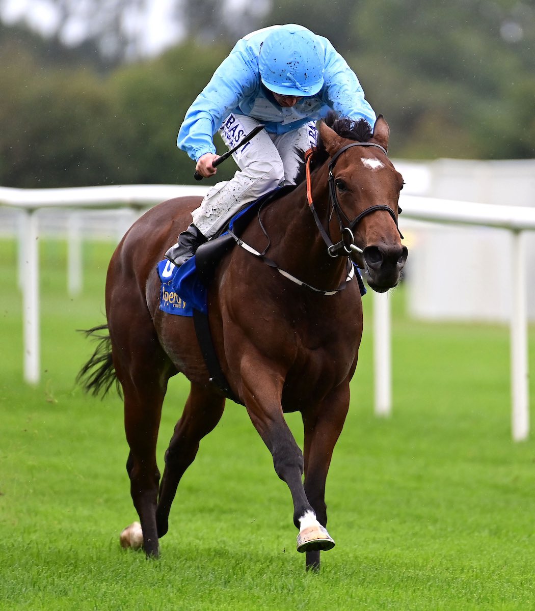 Stack_Racing's tweet image. Ahandfulofsummers wins her maiden @tipperaryraces by 3½ lengths under jockey @chrishayes24. Congratulations to her winning owners Cayton Park Stud &amp;amp; Mrs John Magnier #StackRacing
