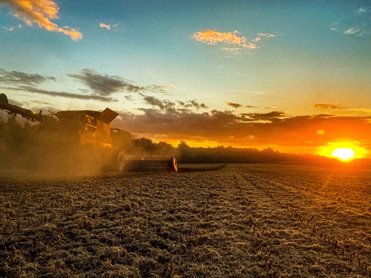 Sure glad we were able to finish up black beans before the rain came! 
#ontag #harvest21 #CaseIH #ediblebeans #septembersunsets #cdnag #familyfarm #farm365 #agmorethanever #ontariofarmer