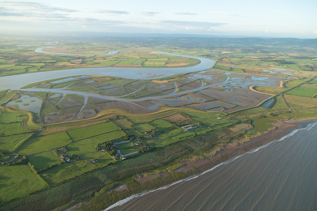 Wetlands can help protect our mental health. Research shows 65% of people find being near water positively affects their mental health. Visit your local wetland today. #WorldMentalHealthDay