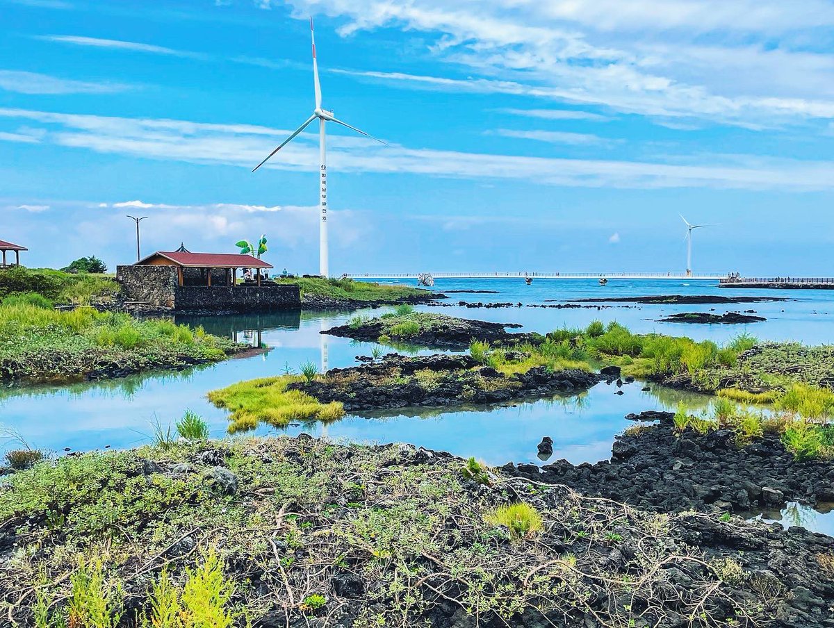 Janek Magnuszewski tweet media