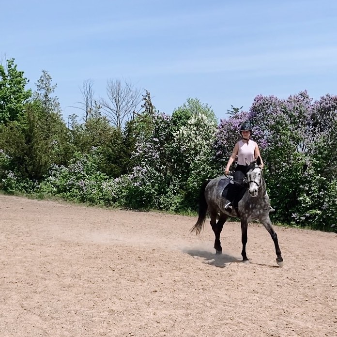 equestrianbandb's tweet photo. 💕 https://t.co/tgwY2uXZkI