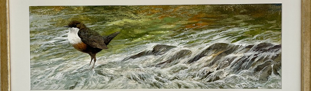 cottagebeyond's tweet photo. Somerset Art Weeks Success - https://t.co/e7EyoIfxeb https://t.co/SKbAuwvoZ1