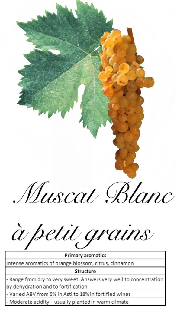 Wanna like a sweet, try Muscat!

In Chinese:
reurl.cc/emWRGL