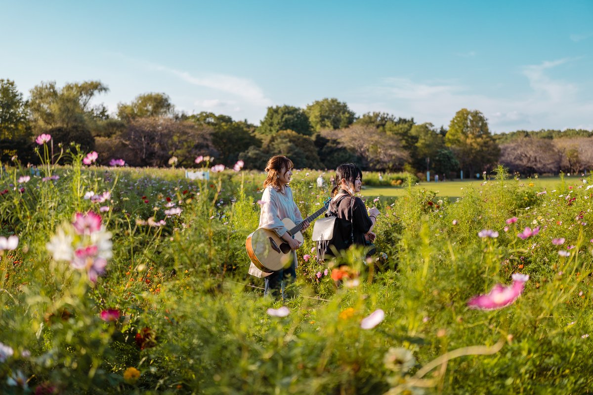 Ichiban_Japan's tweet photo. Doux début d'automne aujourd'hui au parc Showa Kinen Koen à Tokyo 🍃🍂 https://t.co/WHQFIlOQSB