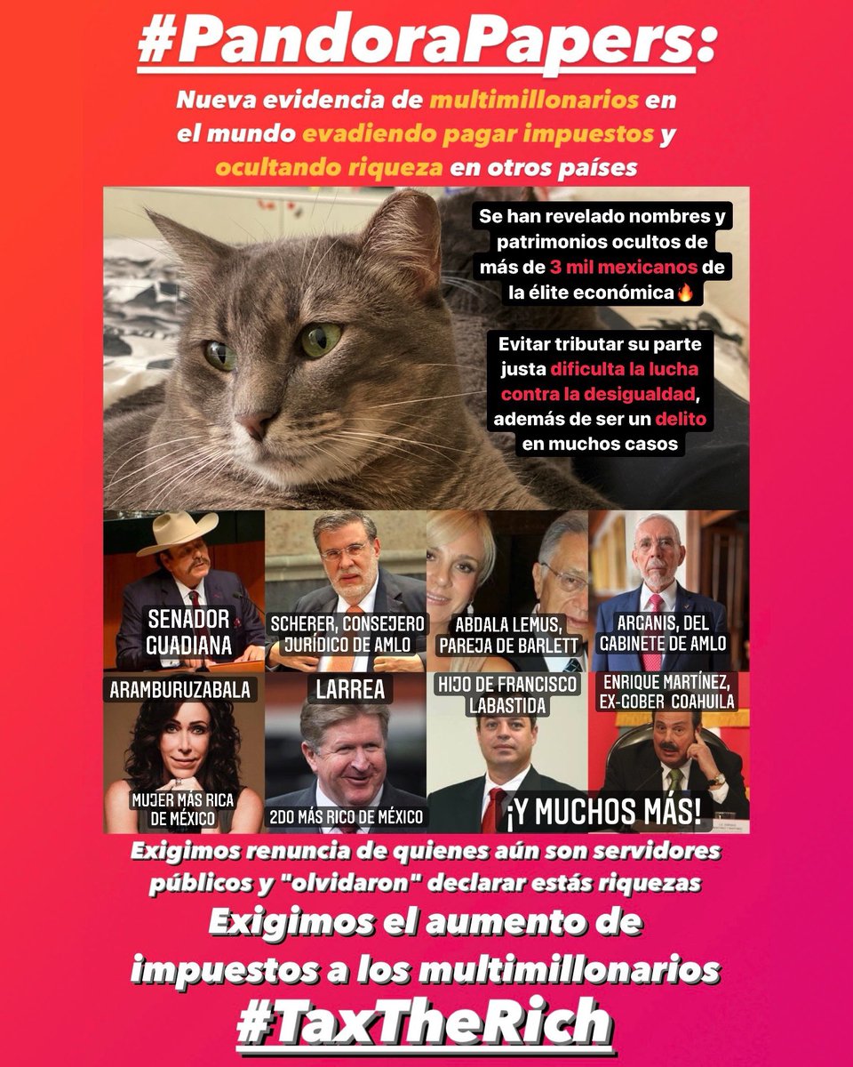 GatitosVsDesig's tweet photo. Miau. La información revelada en los #PandoraPapers evidencia cómo es que los multimillonarios buscan evadir pagar su parte justa de impuestos y ocultan sus riquezas en países que dificultan su rastreo.

Con dolo, ese 0.1% más rico evita tributar impuestos, disminuyendo así... https://t.co/J7iCy8aJKb
