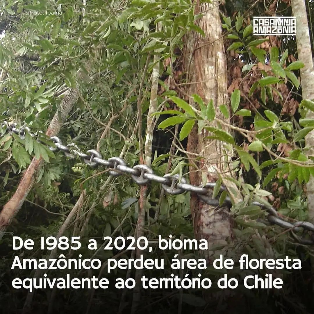 Em três décadas, o bioma amazônico presente no Brasil e em países vizinhos perdeu uma área equivalente ao território do Chile, aponta o MapBiomas. Imagens de satélite revelam que mais de 74 milhões de hectares de floresta desapareceram de 1985 a 2020.

Via: @casaninjaamazonia