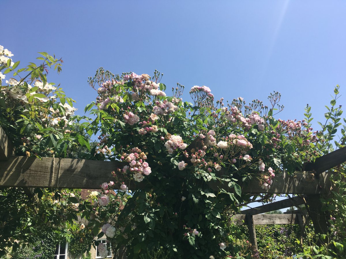 Due to a cancellation we have an extra date available for next year: Saturday 2nd July 2022🌞

(we also have 9th July and 20th August)