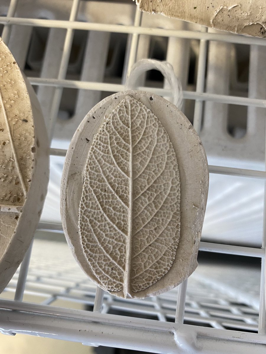 David Rankin tweet media