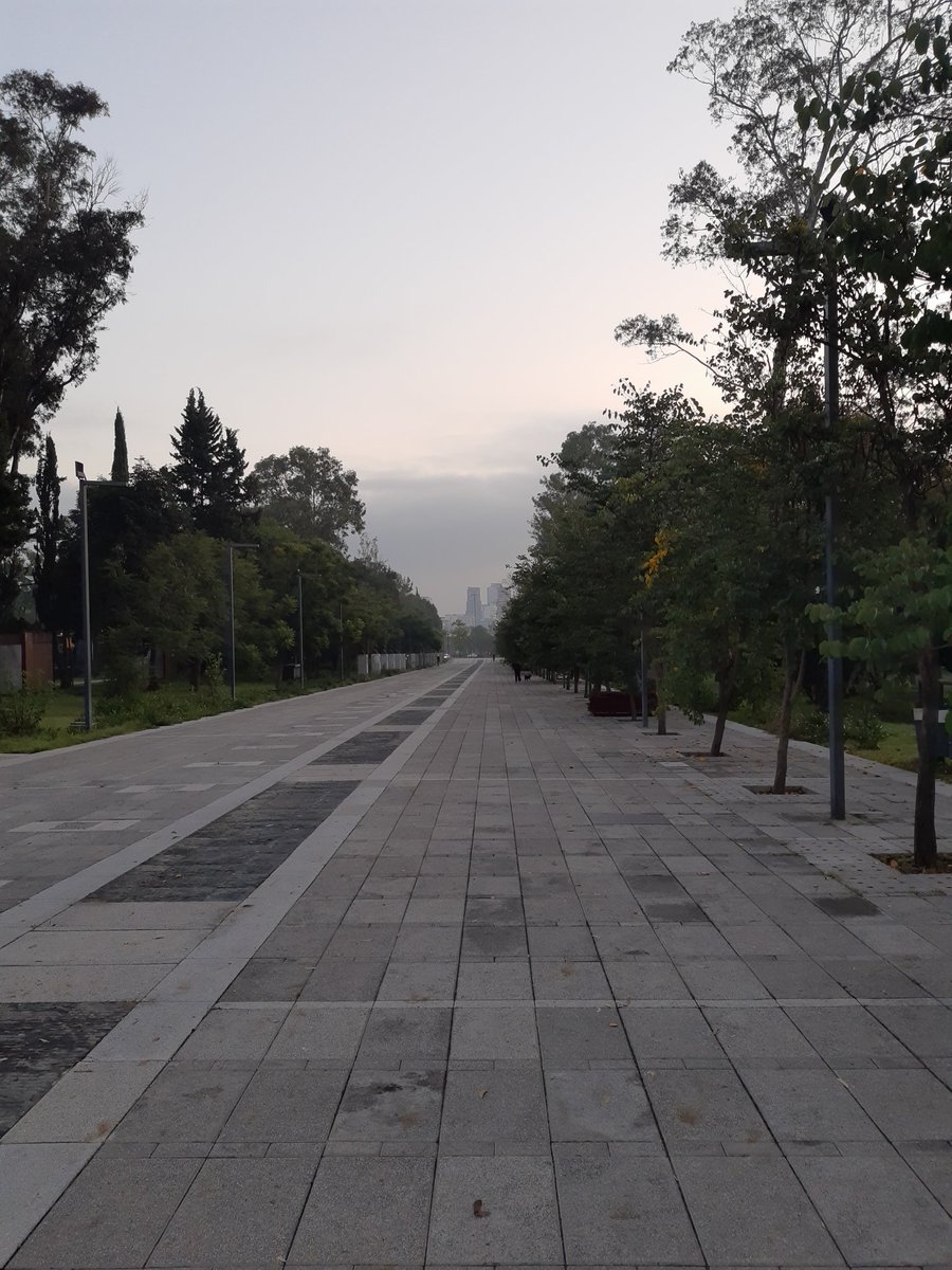 miguelchavezsup's tweet image. #TeamPoderoso saludos desde la fuente Xochipilli en Chapultepec, poderosa semana,🤖🐬