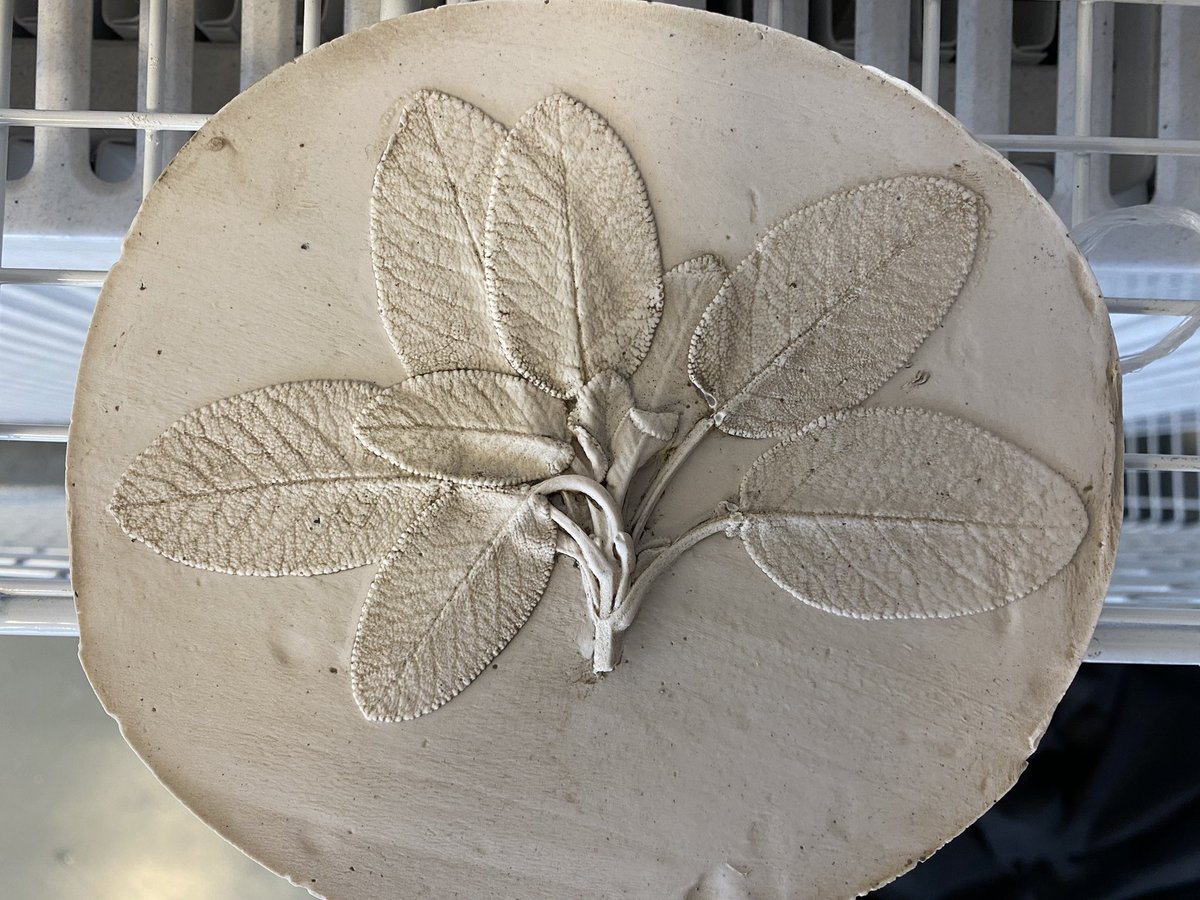 David Rankin tweet media