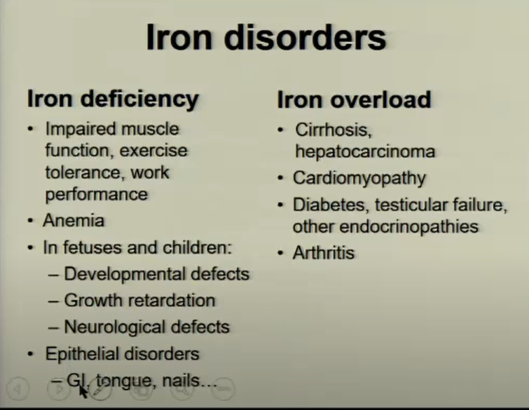 1) Ladies and gentlemen, buckle up. This is going to a short and furious ride. 
COVID-19 AND “IRON DIABETES”: HEART FAILURE, MALE INFERTILITY AND THE DYNAMICS OF INTERNAL/EXTERNAL SPIKE PROTEIN EXPOSURE
A massive dose of Spike Protein affects Iron Homeostasis the same way as a