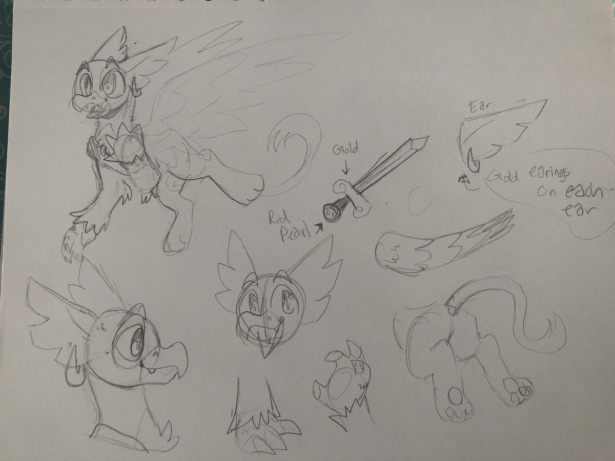 MadDutchh's tweet photo. Griffons are cute as heck! I wanna see more griffin ocs!
#mlp #pony #brony #mlpart https://t.co/kki1xpAYBm
