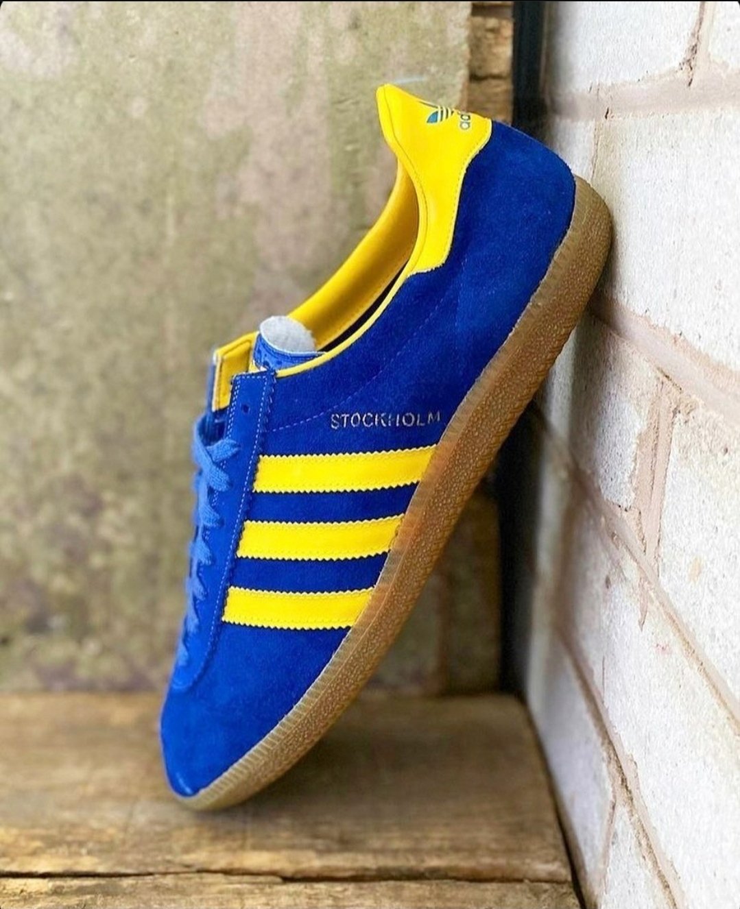 bobby mccarten adidas