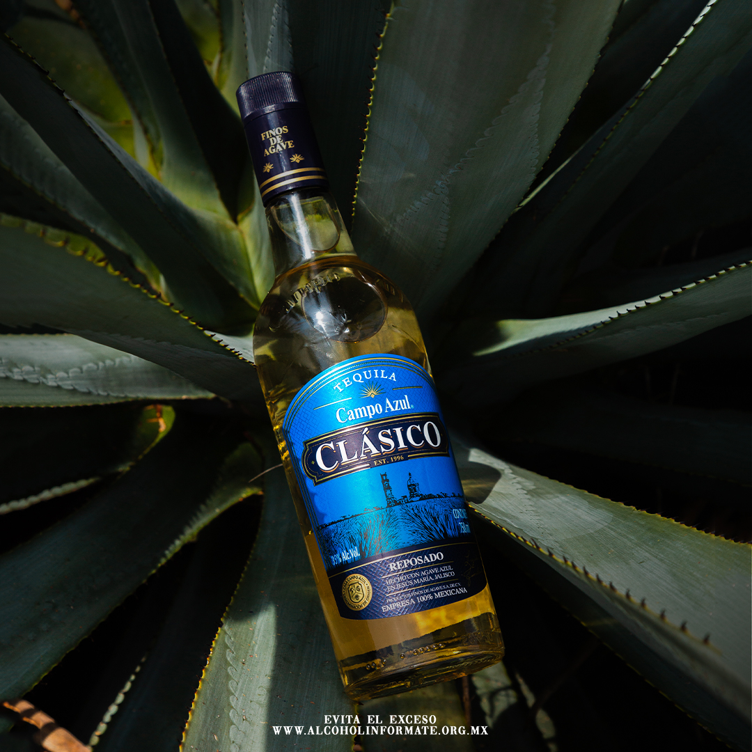 Compartir 43+ imagen tequila campo azul precio walmart Thptletrongtan