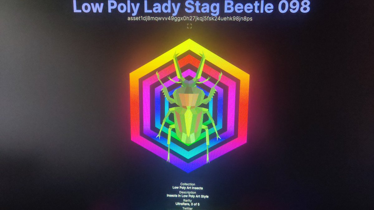 Jacques Janse van Rensburg tweet media