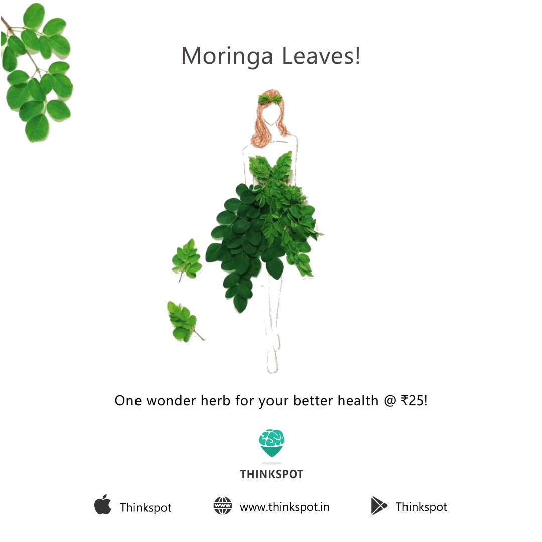 Thinkspot2's tweet image. Order this wonder herb at the freshest online, only on Thinkspot.

❤️
thinkspot.in
Android | iOS

#thinkspot #chennai #valimai #udalValimai #HealthyFood #soup #Android #Apple #Fresh