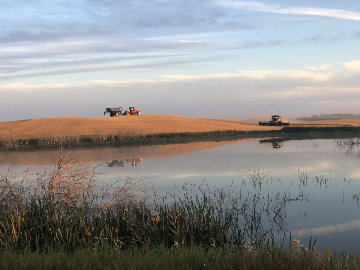 #Harvest2021 <a href="/westernproducer/">The Western Producer</a> <a href="/RedheadEquip/">Redhead Equipment</a> @NewHollandAG