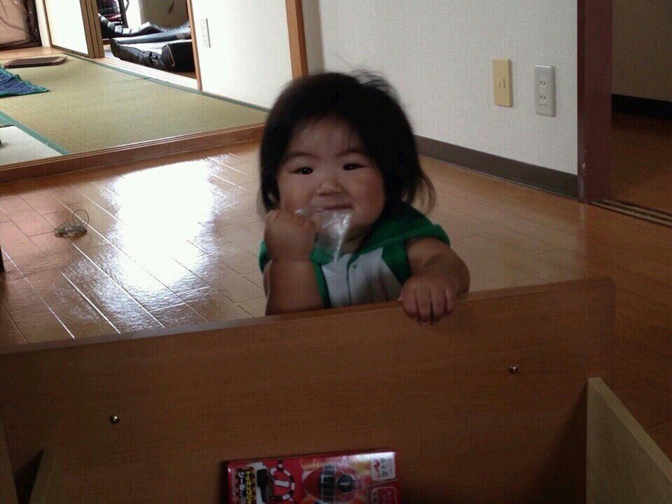 _yuu412's tweet photo. 蓮虎の小さい時の動画やら見てたら
本間癒されるし、戻って欲しいすぎ🥲
半年頃でこの毛量素晴らしい🙏（笑）
次自分が子供産む時には 年子で3人くらいは
欲しいから 体力貯めとかな。（笑）
また1から子育てどんな感じなんやろ。
あかちゃんほてぃ🥺🤍🤍 https://t.co/LCI1UUBCCM