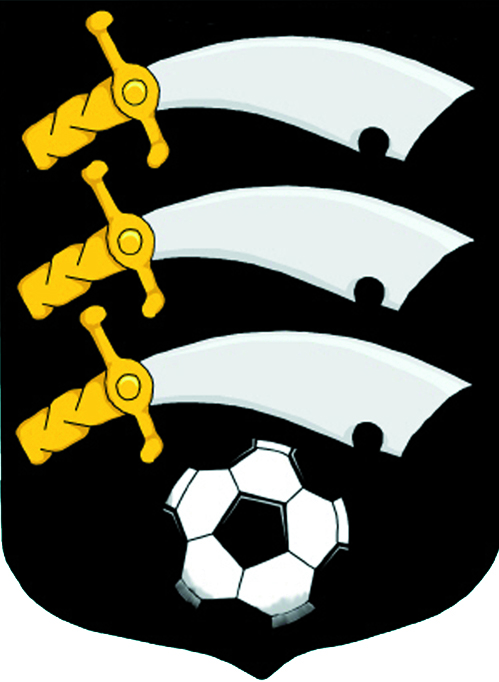 Springfield FC tweet media