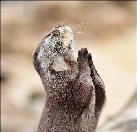 김재환 아름다운 사실 커버해줘