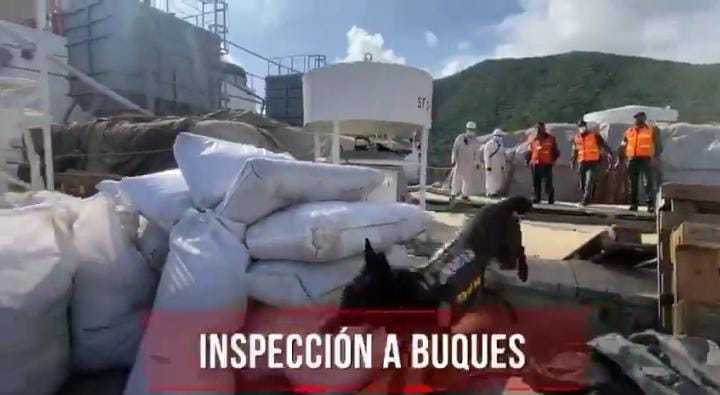 DesurTParaiso's tweet photo. #4Oct 🎥 Nuestra GNB invicta en la lucha contra el narcotráfico. 👊
CEOFANBPorlaPatria #VacunaciónAbierta #CZGNB43 
#CentinelasDelPueblo
.@libertad003
.@GNBCmdtGral https://t.co/1TEZ2xFaVq