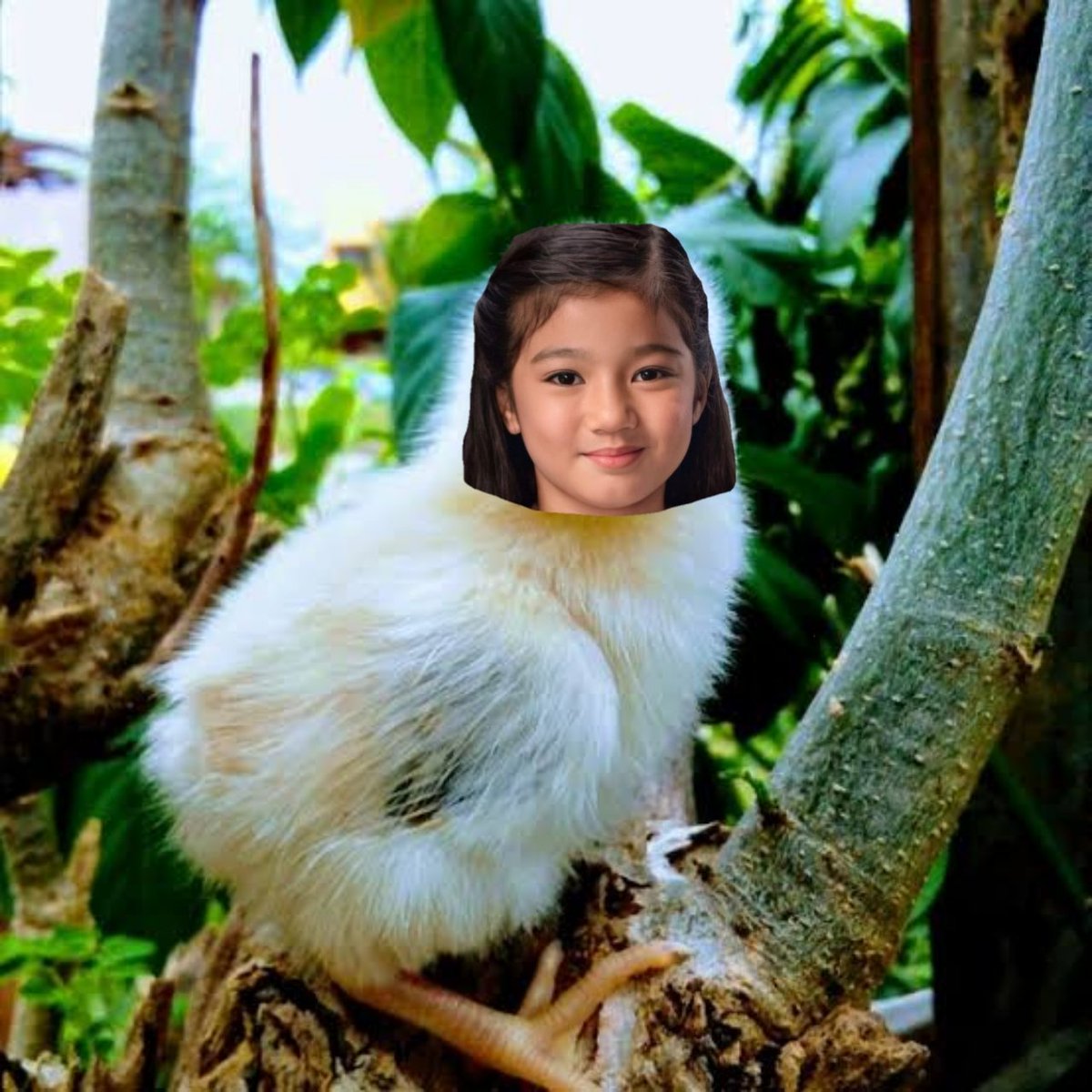 SEXBOMBBELINDA's tweet photo. SINASABI KO SAINYO UNG SISIW KO DATI, PWEDE NANG ITINOLA NGAYON. ITO ANG GLOW UP
GlowUpChallenge LikeBELLEMARIANO
#titi #laok https://t.co/iw61rKo4c0
