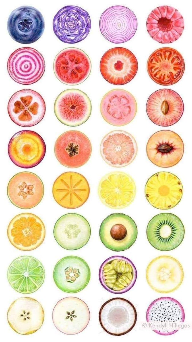 ATinyGreenCell's tweet photo. Nature's design pallette is sublime. https://t.co/CRHVT2QsXu